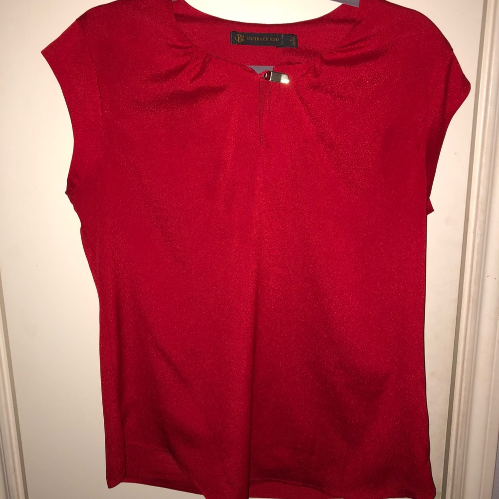 Ted satin professional shirt